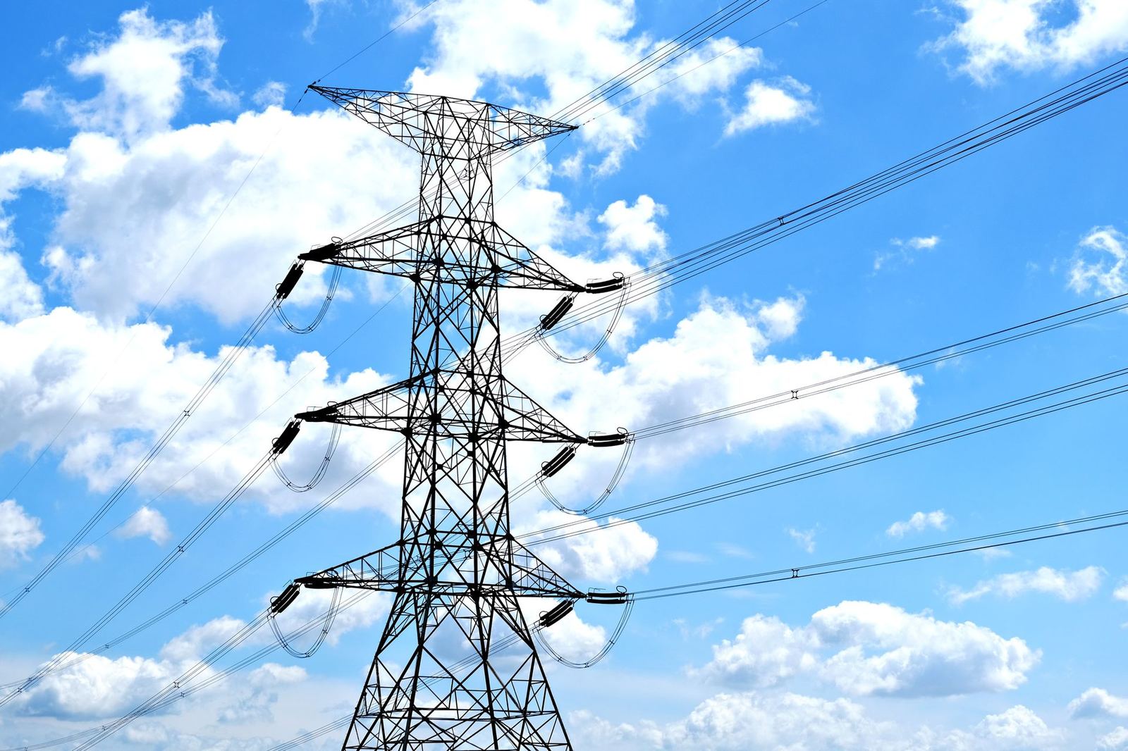 Load forecasting in electricity distribution